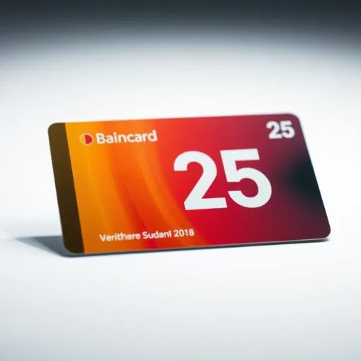 Bahncard 25 Kosten