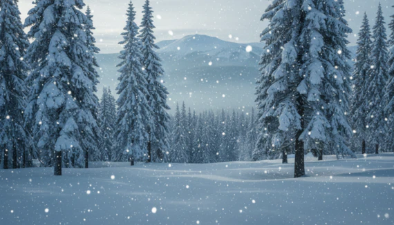 Schöne Winter Sprüche kurz